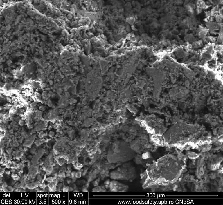 Detaliu cu o imaginea unei probe analizată la microscopia electronică de baleiaj (SEM)